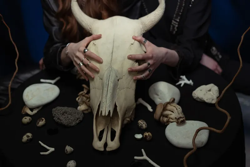 Facing the Unspoken: How African Divination Systems Are Confronting Americans with the Truths They Have Long Avoided