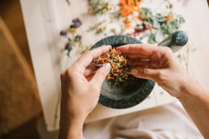 Roots That Remember: How African Herbal Traditions Are Calling American Families Back to Their Healing Inheritance
